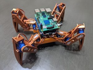 Spider Robot Student