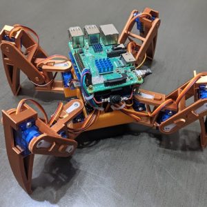 Spider Robot Student